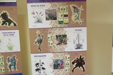 Una alumna del Colegio Hilda Zudán (Telde) gana el concurso escolar de dibujos de invertebrados/TA.